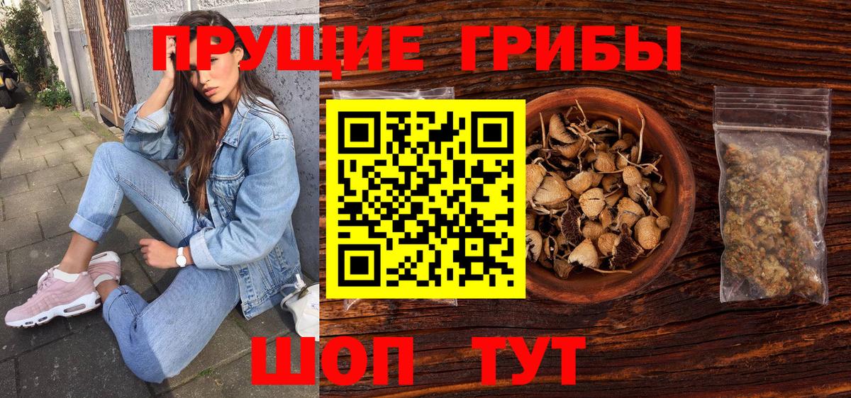 Ахтубинск  Псилоцибиновые грибы ЛСД  Вход с VPN  Псилоцибиновые грибы прущие грибы 